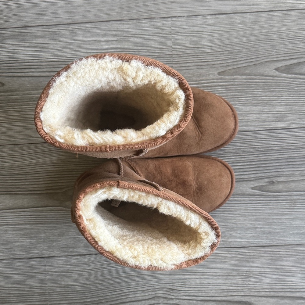 UGG Tall Classic Brown Winter Boots